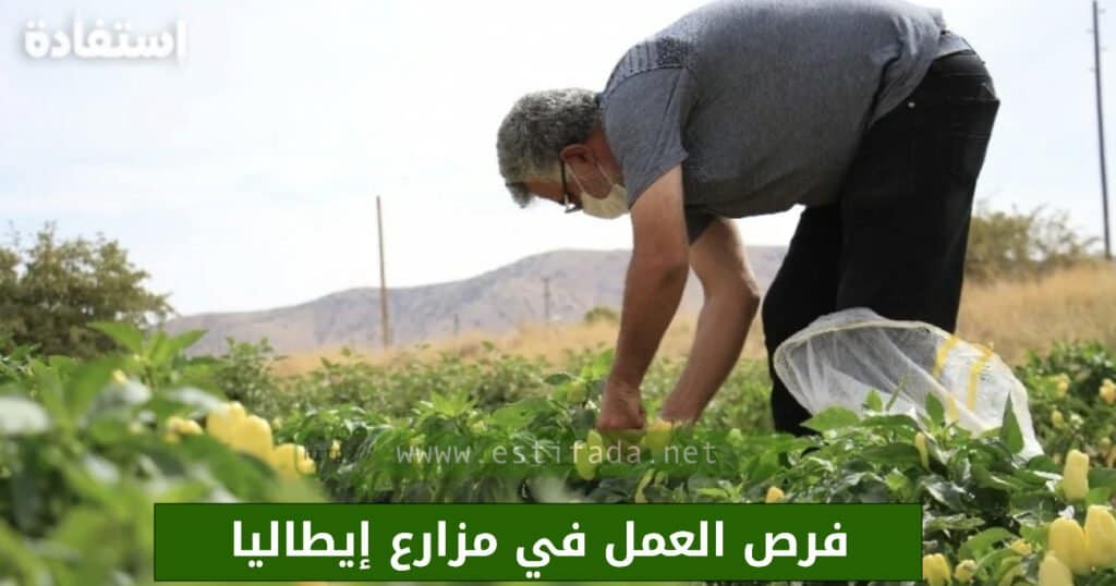 العمل في الفلاحة في إيطاليا 2023