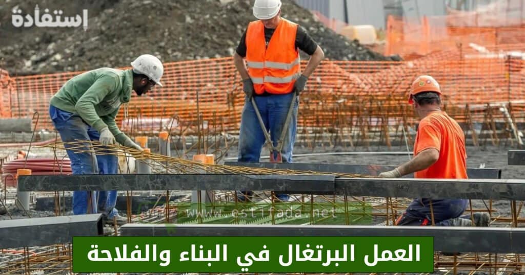 العمل البرتغال في البناء والفلاحة‎ للمغاربة