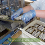 تشغيل عمال تنقية وتقشير السمك