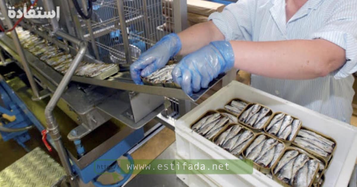تشغيل 100عاملة تنقية وتقشير السمك