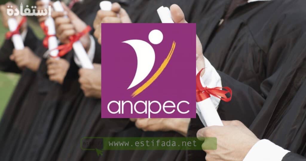 Les offres d'emplois de l'ANAPEC