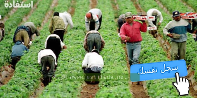 قانون العمل في إيطاليا 2023