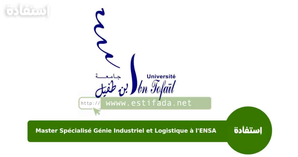 Master Spécialisé Génie Industriel et Logistique