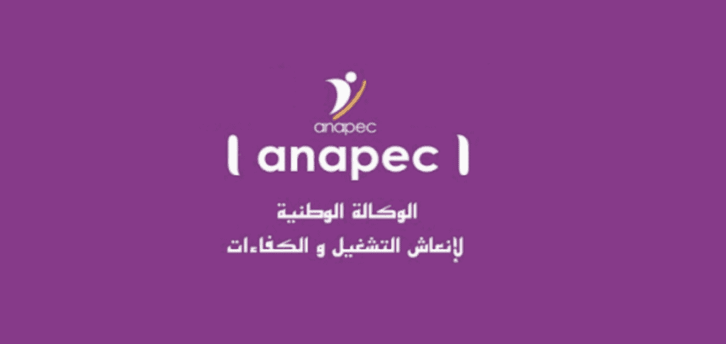 ما هو عقد عمل أنابيك Contrat Anapec؟