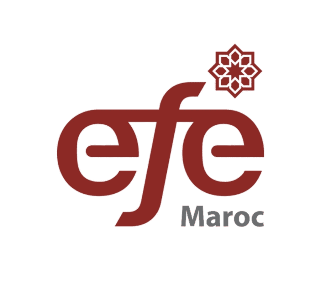 تكوين مجاني من طرف المنظمة المغربية من أجل التشغيل EFE MAROC
