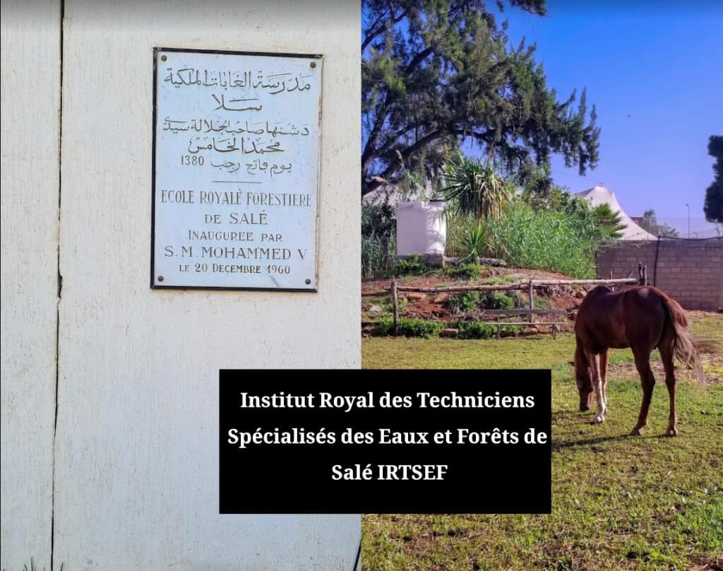 Institut Royal des Techniciens Spécialisés des Eaux et Forêts de Salé IRTSEF