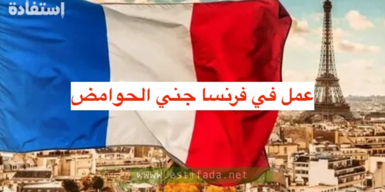 فرص عمل في فرنسا جني الحوامض براتب 15000 درهم شهريا