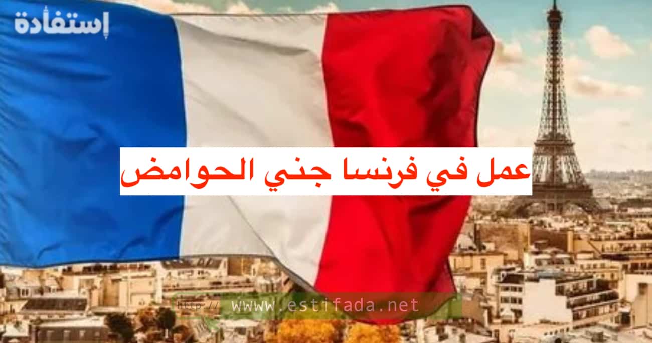 فرص عمل في فرنسا جني الحوامض براتب 15000 درهم شهريا