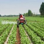 وظائف موسمية في المجال الفلاحي