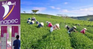 offre d'emploi: aide Agricole