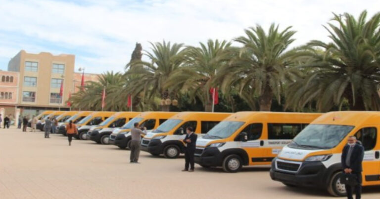 Chauffeur transport scolaire