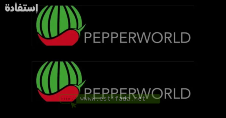 Pepperworld Maroc recrute des stagiaires