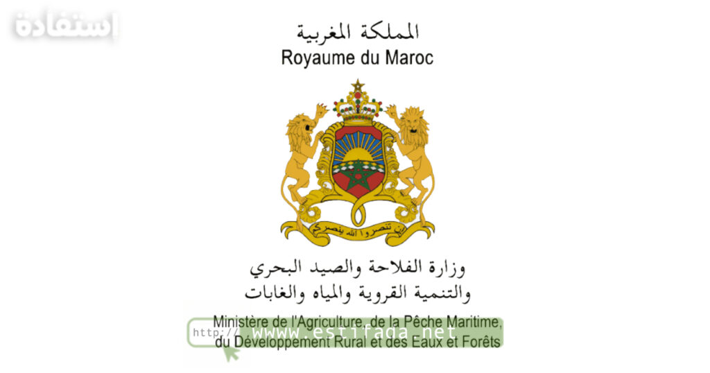 مباراة الصيد البحري