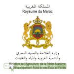 مباراة الصيد البحري