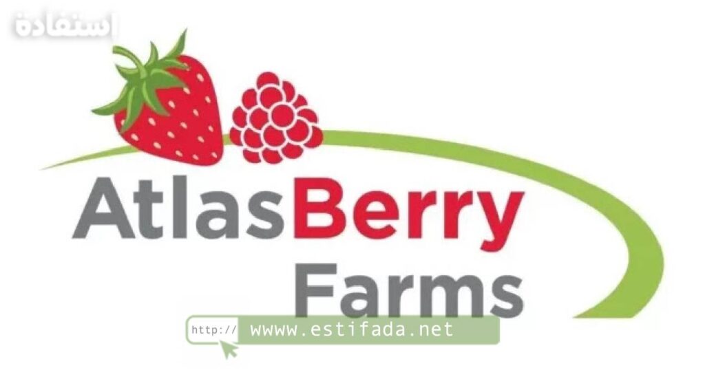 Atlas Berry Farms Recrute: Postes de Chefs d’Équipes