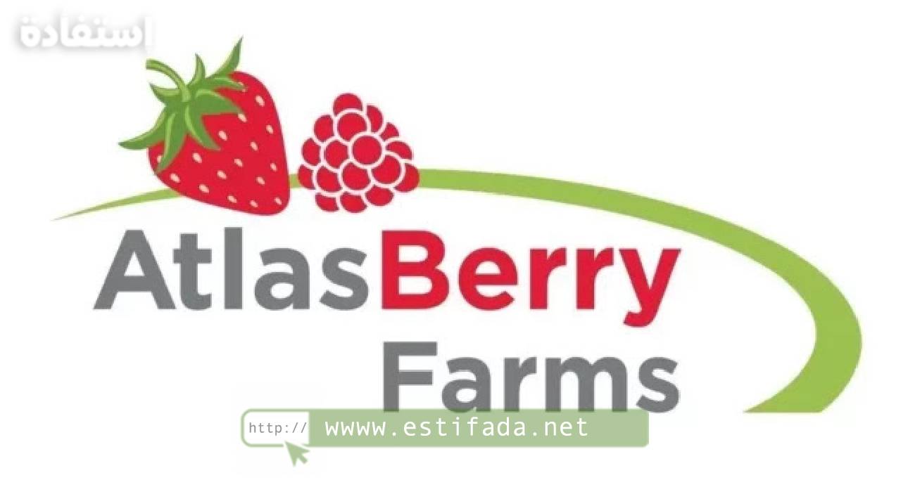 Atlas Berry Farms Recrute: Postes de Chefs d’Équipes