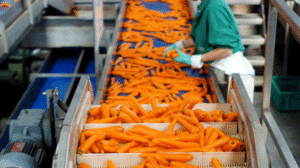 D'usine En Agroalimentaire