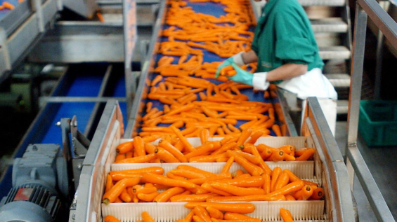 D'usine En Agroalimentaire