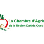 Concours Chambre d'Agriculture Dakhla Oued Ed Dahab