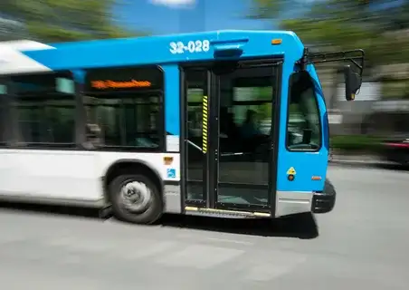 Chauffeurs Des Autobus